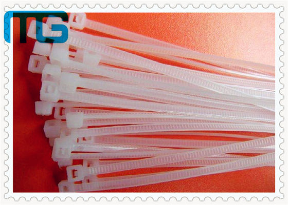 Cina Size Customized Nylon Cable Ties Self Locking Plastic Tie Straps 100pcs pemasok